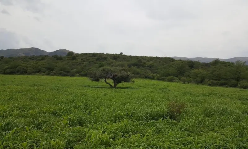 Foto 10
