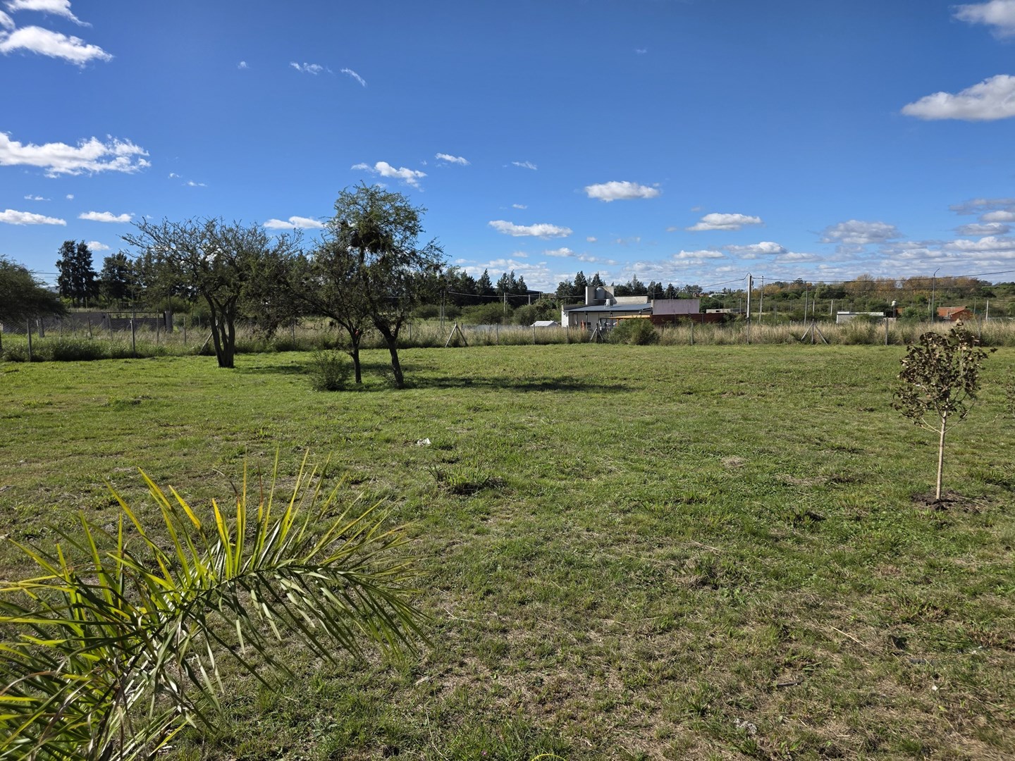 Foto 15