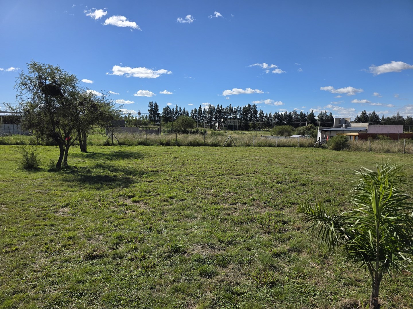 Foto 12