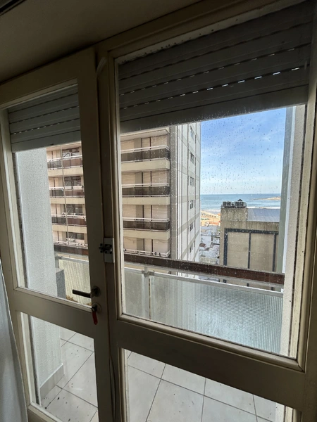 IMG_6955.jpeg