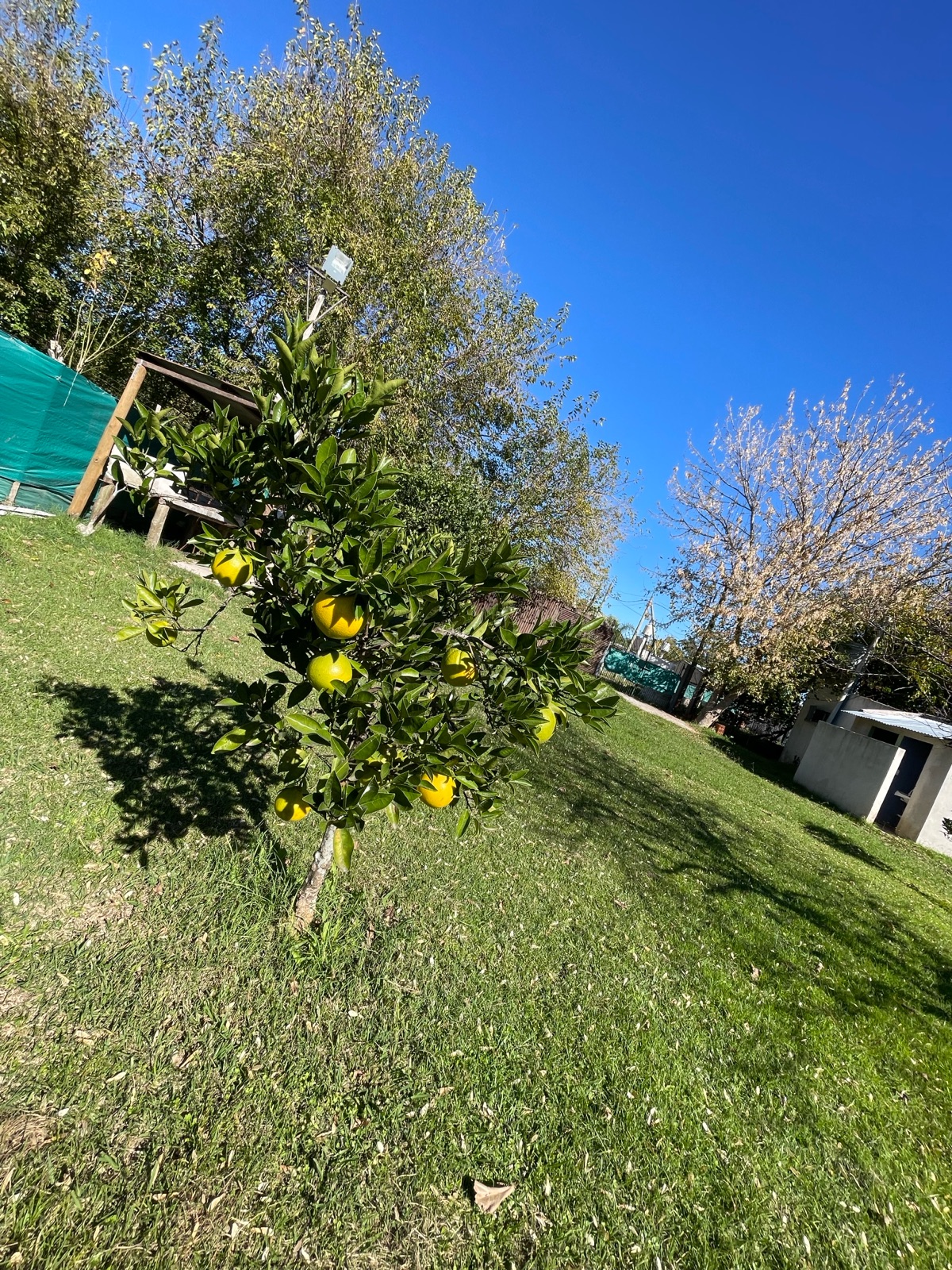 Foto 34