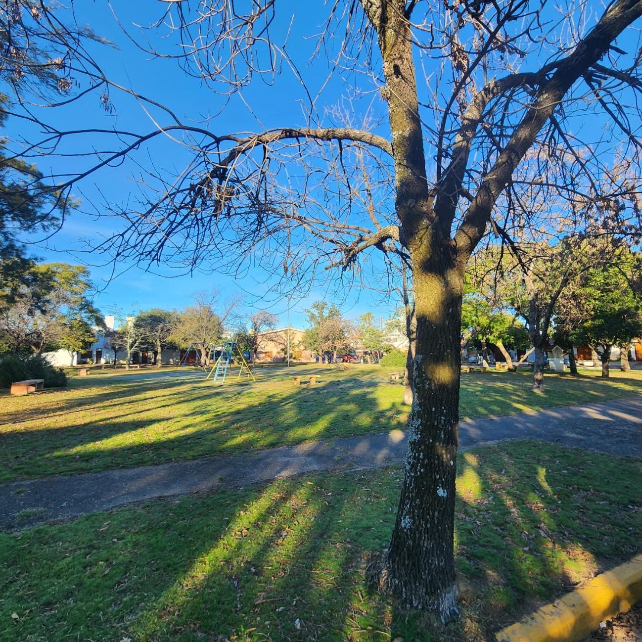 Foto 12