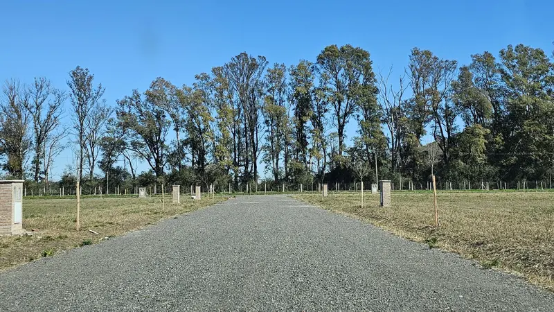 7134016_2911121870386413245789135018962006101754616084985937051671312642214487745052.jpg