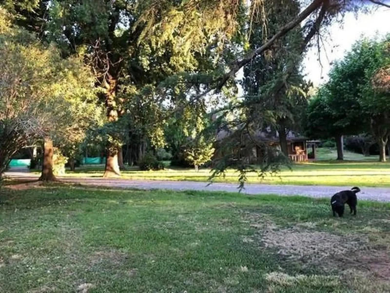 Foto 8