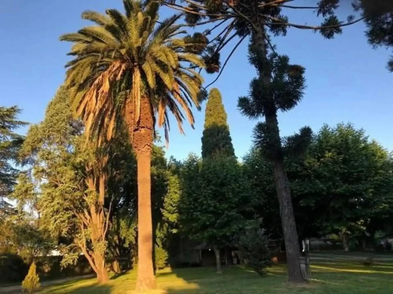 Foto 7