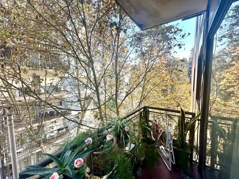 Foto 19