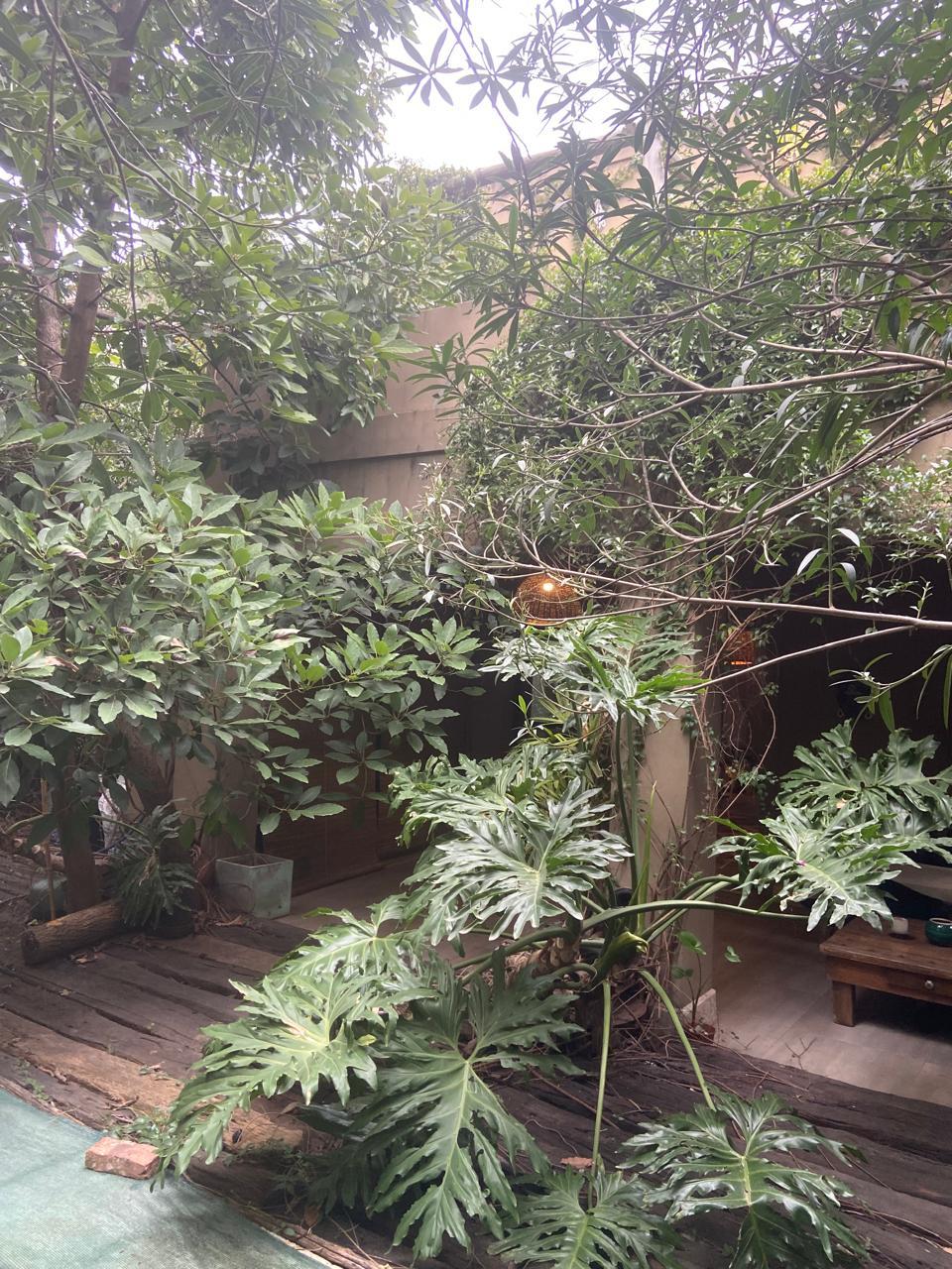 Foto 10