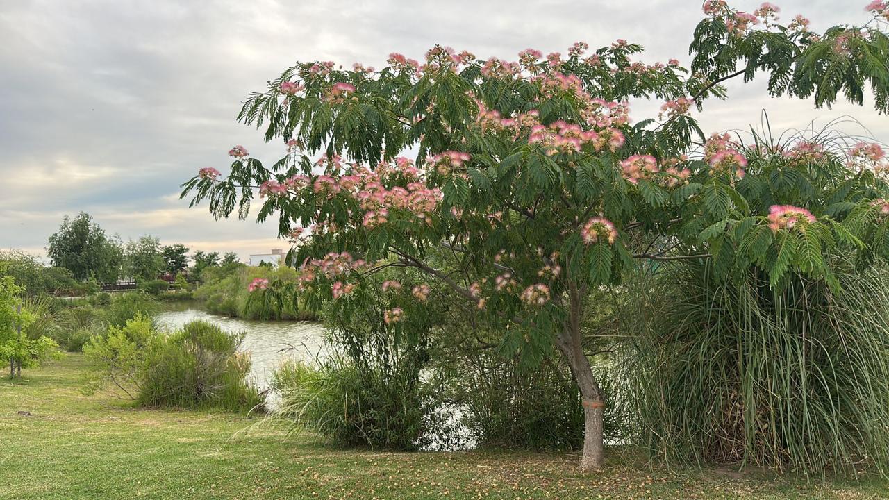 Foto 41