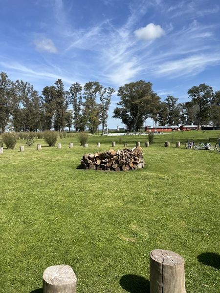 IMG_5980.jpeg