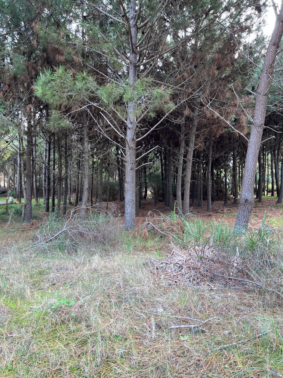 Terreno en venta · Costa Esmeralda, Punta Medanos, La Costa, Costa Atlántica, Provincia de Buenos Aires