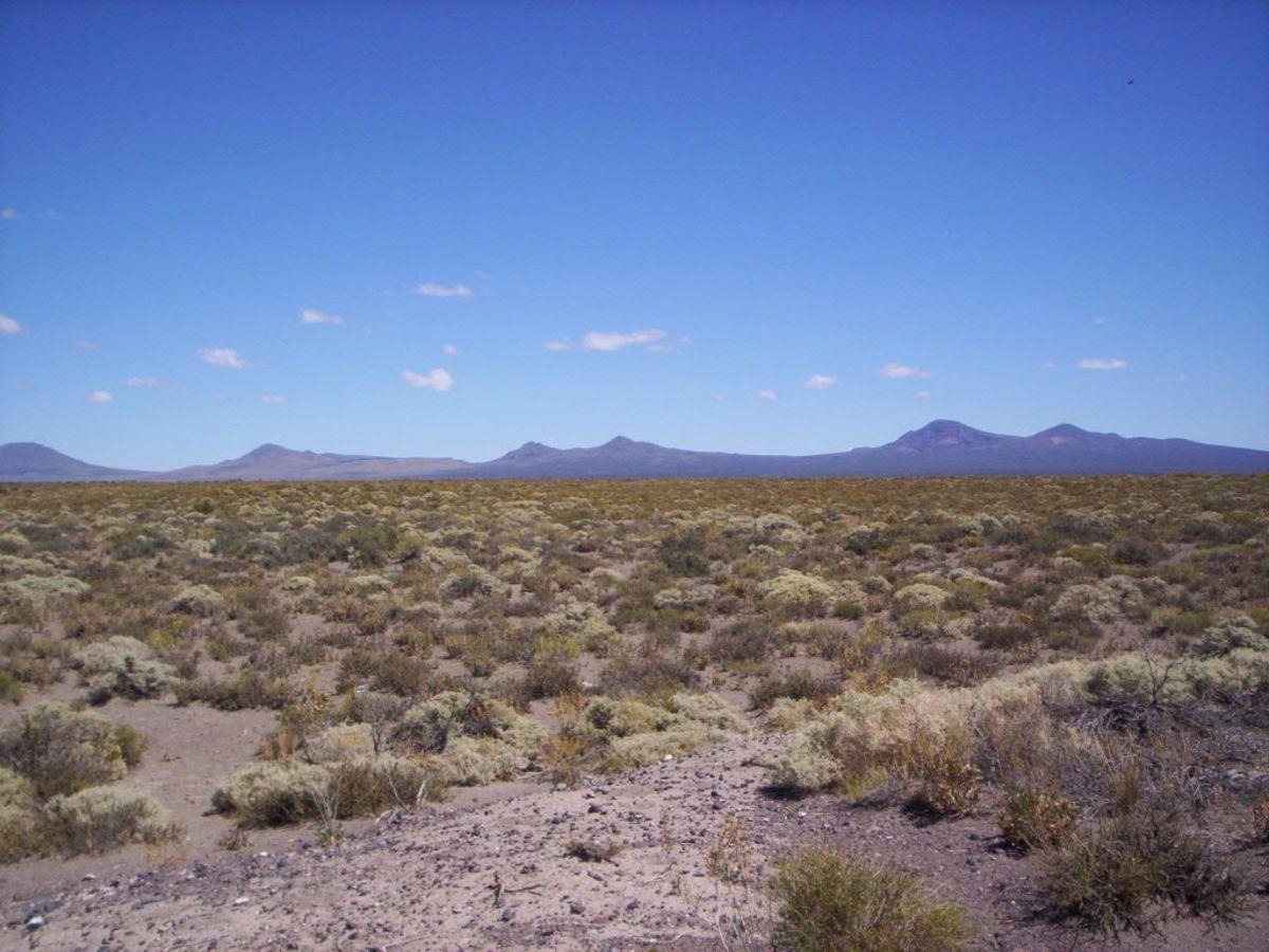Terreno en venta · San Rafael, Mendoza