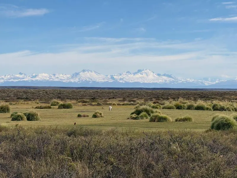 Terreno en venta · San Rafael, Mendoza