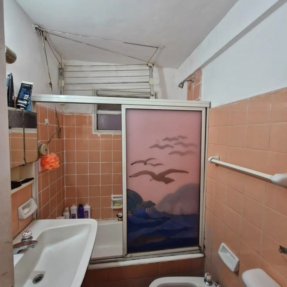 Foto 15