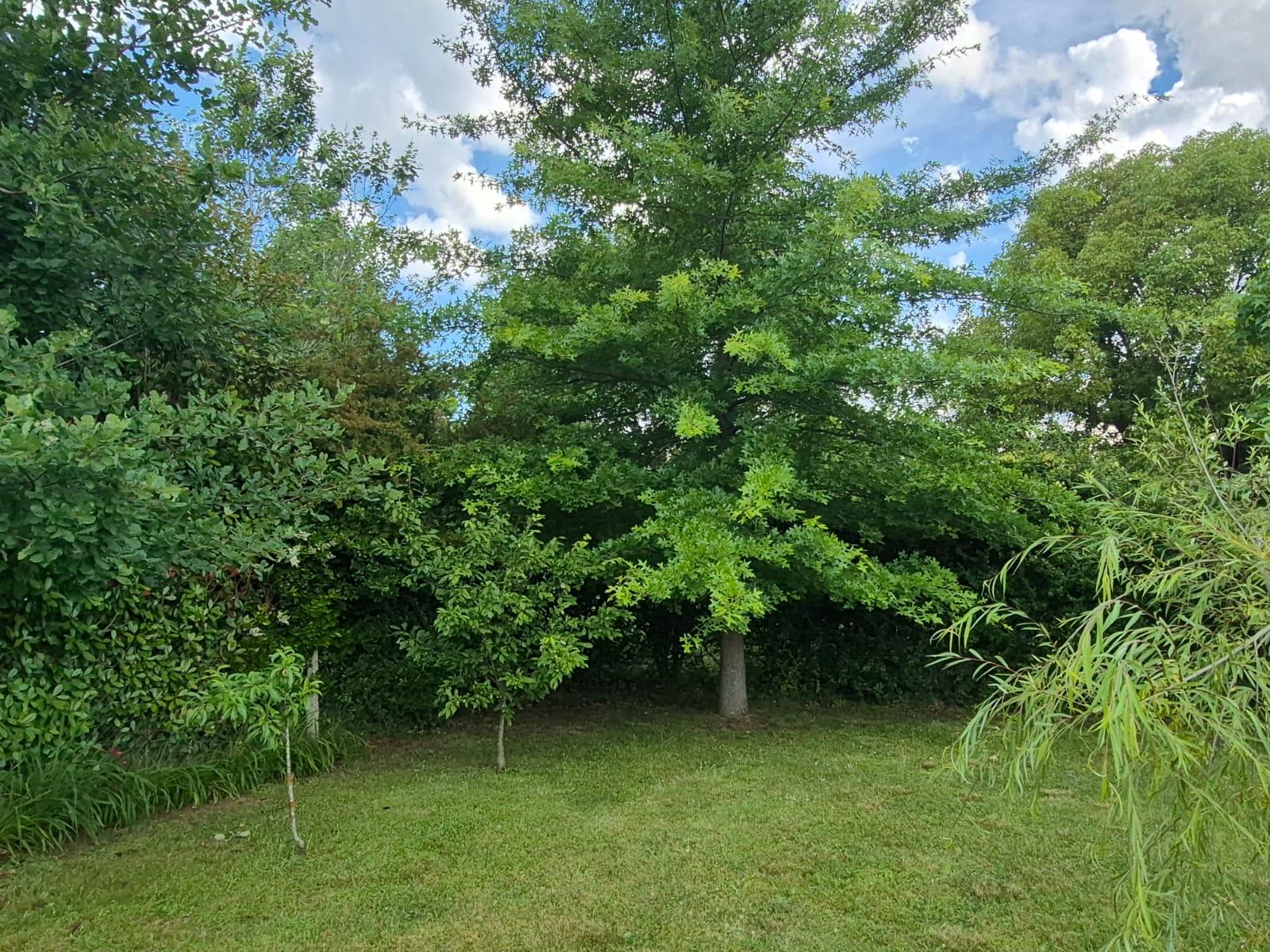 Foto 62