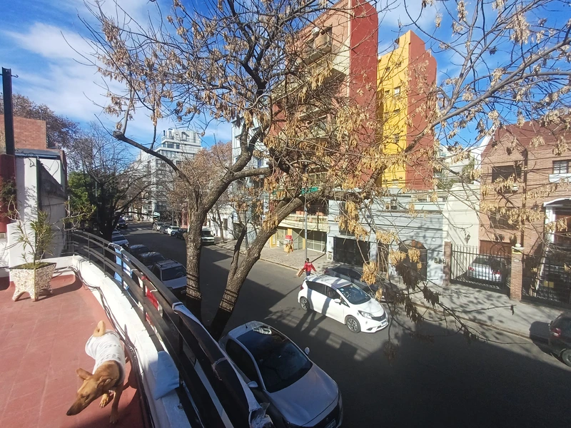 Foto 51