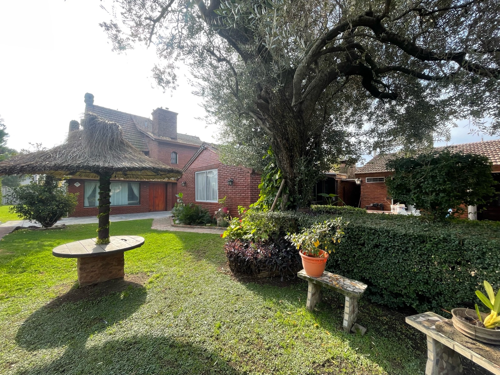 Foto 4