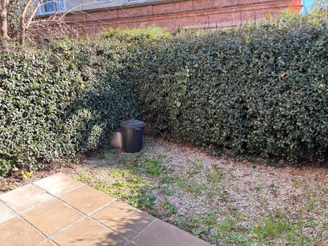 Foto 17