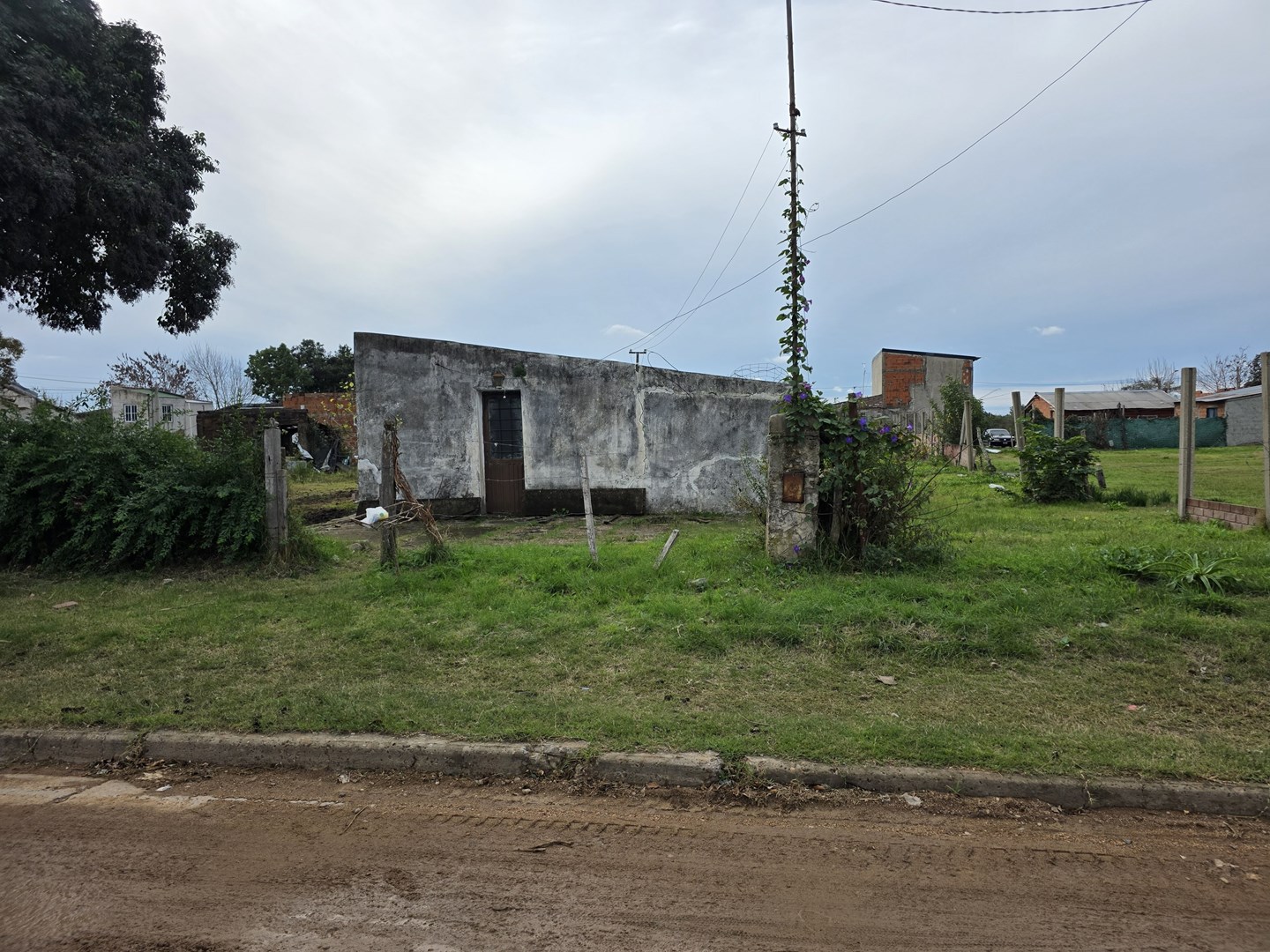 Foto 4