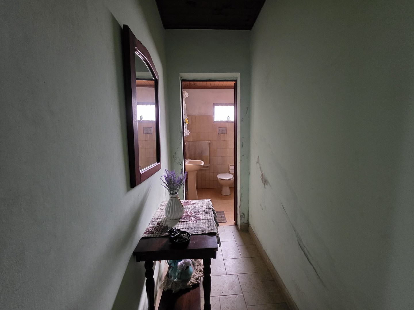 Foto 19