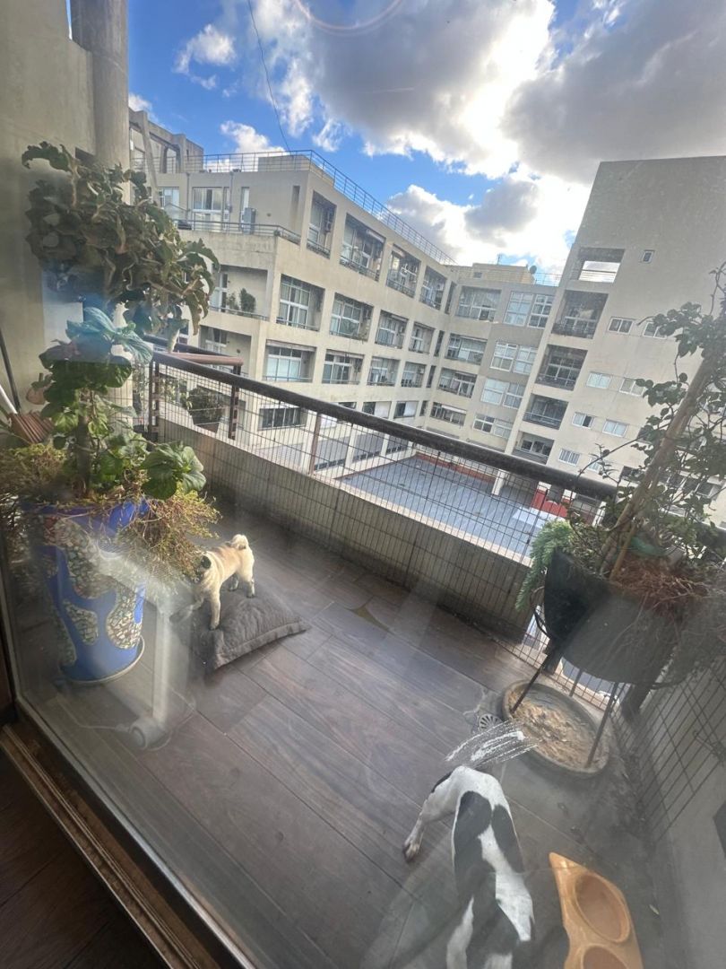 Foto 13