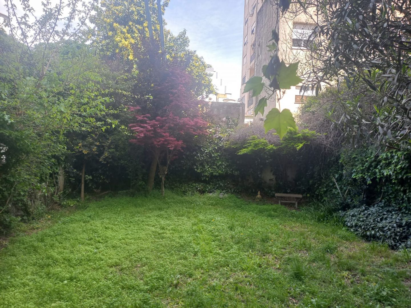 Foto 3