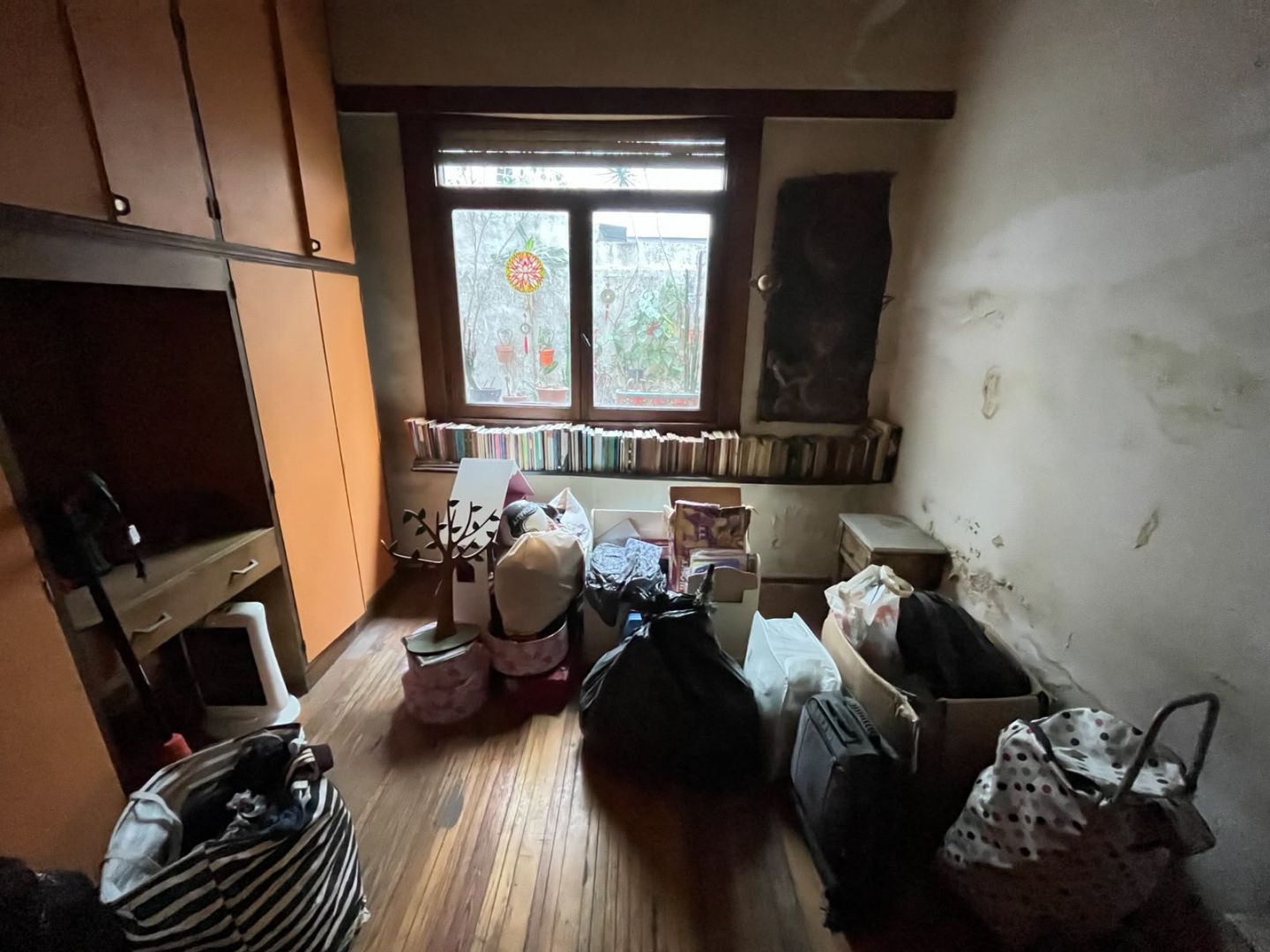 Foto 15