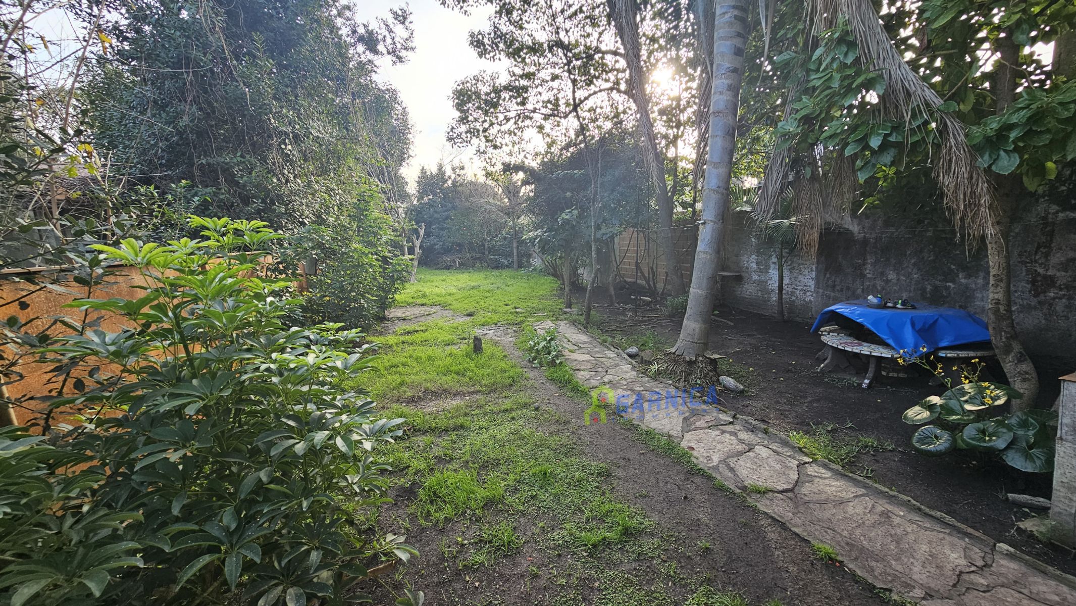 Foto 8