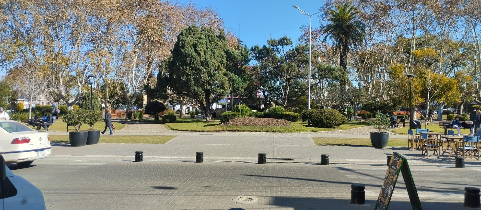 Foto 7