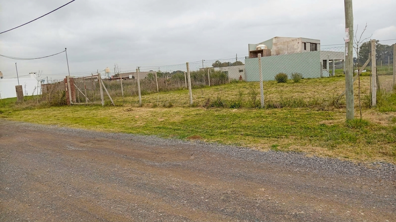 LOTE CAÑUELAS 3.jpeg