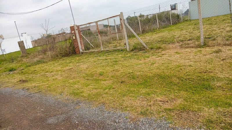 LOTE CAÑUELAS 2.jpeg