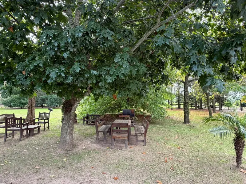 Foto 53