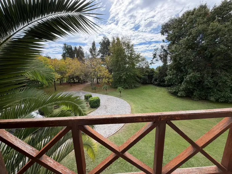 Foto 41