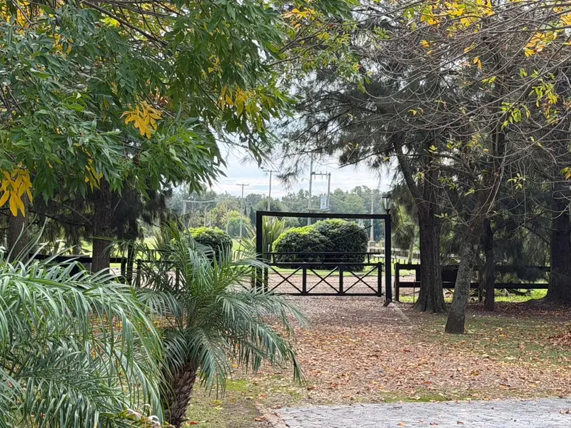 Foto 65