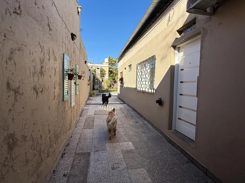Foto 53