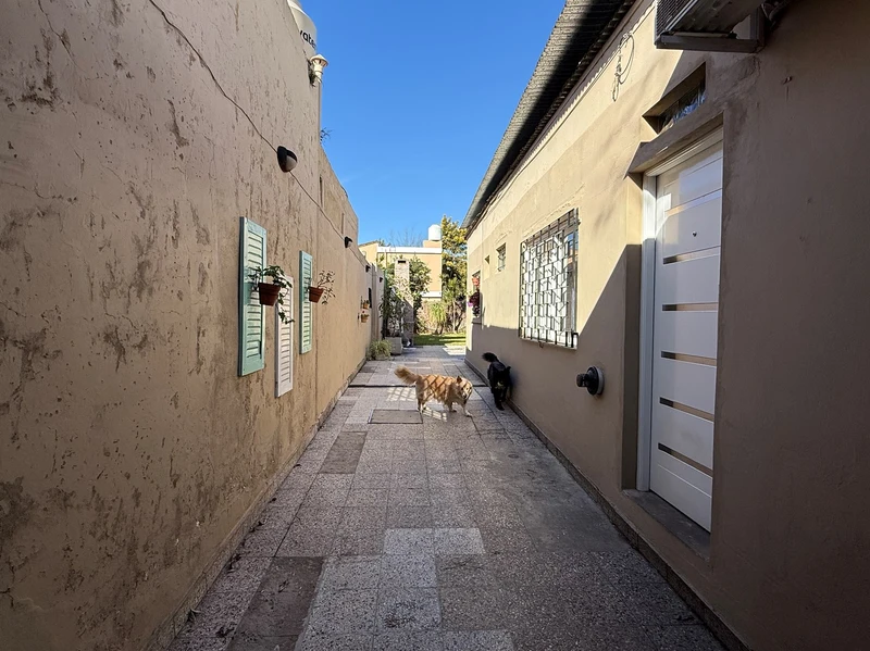 Foto 50
