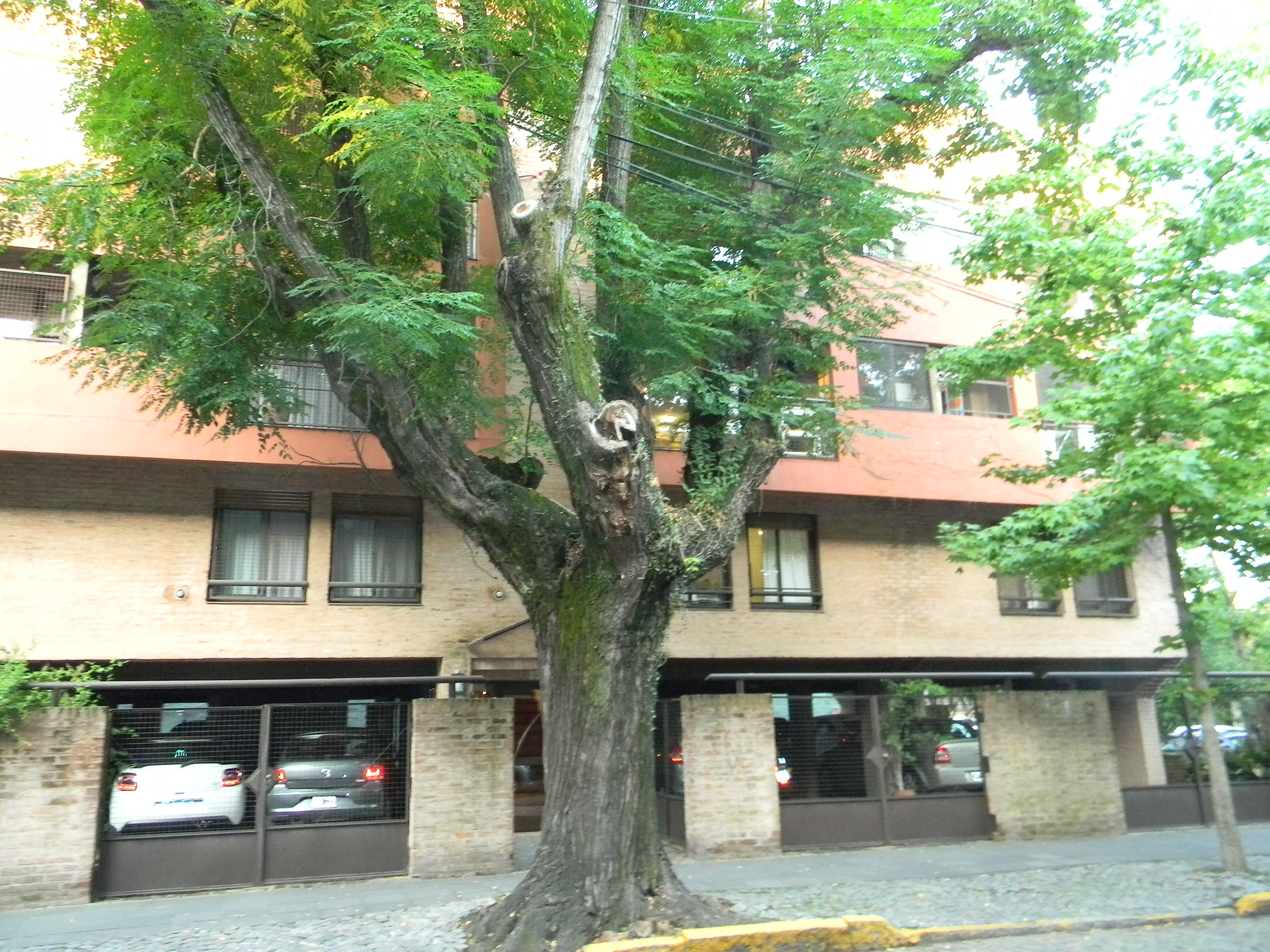 Departamento en alquiler · San Isidro, San Isidro, GBA Norte, Provincia de Buenos Aires