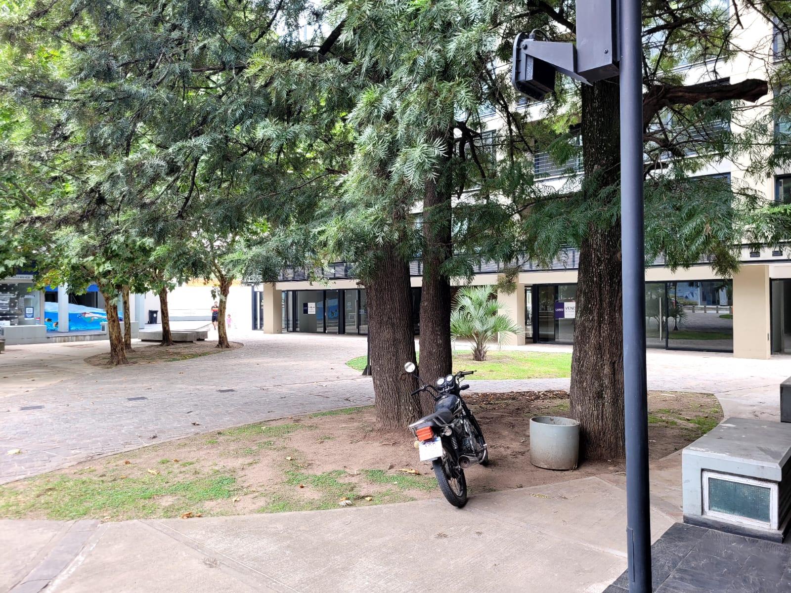 Foto 6