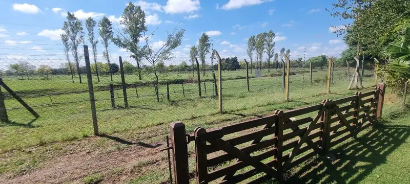 Foto 15