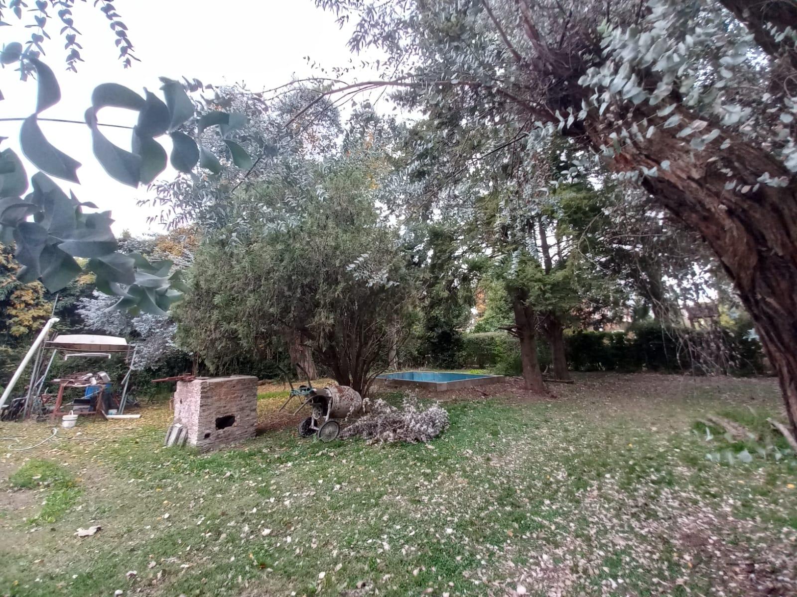 Foto 12