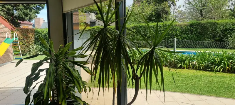 Foto 23