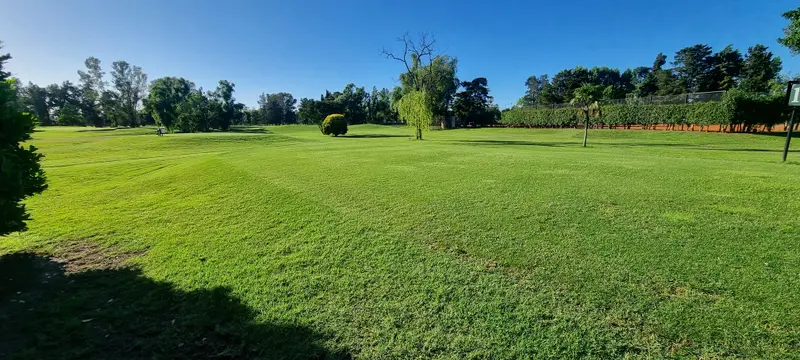 Foto 41