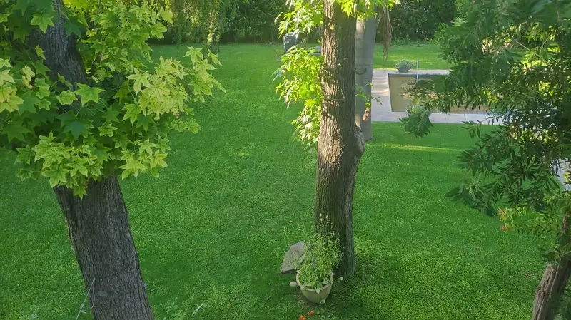Foto 22