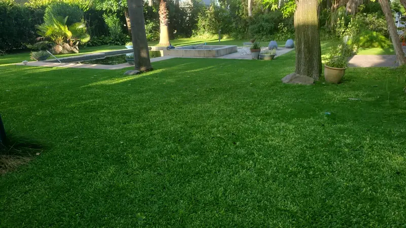 Foto 23