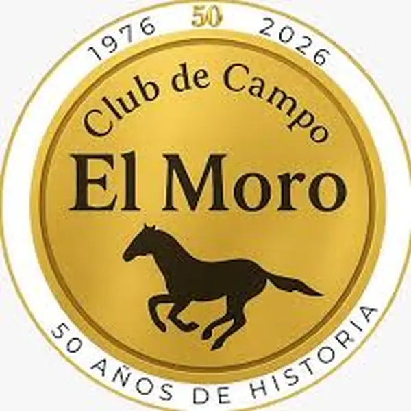 images.jpeg