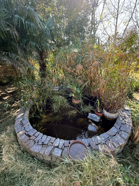 Foto 10