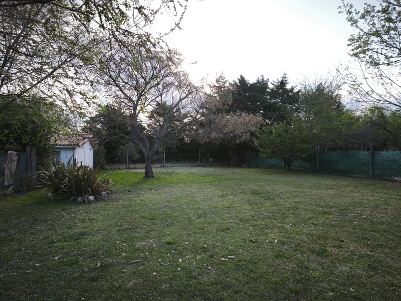 IMG_20250920_175003.jpg