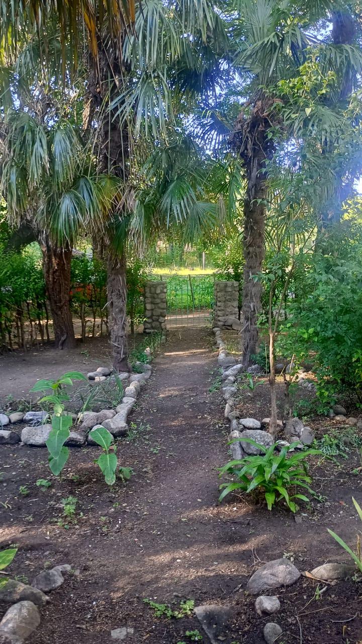 Casa en venta · Las Rabonas, San Alberto, Córdoba