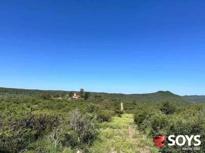 Foto 13