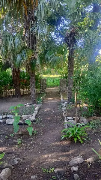 Terreno en venta · Las Rabonas, San Alberto, Córdoba
