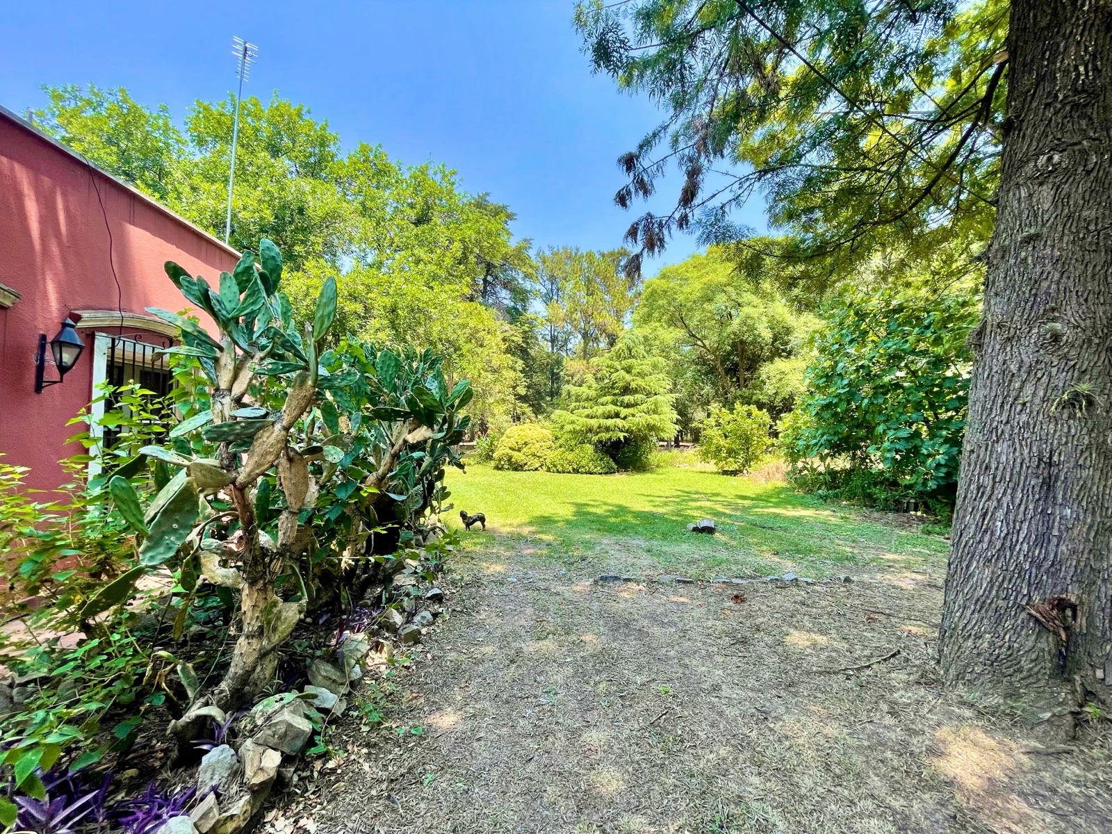 Foto 18